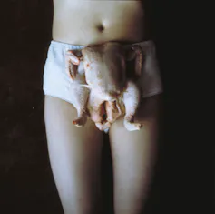 Chicken Knickers by Sarah Lucas (1997).