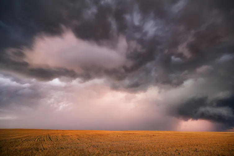 Stormy sky over field of crops.
