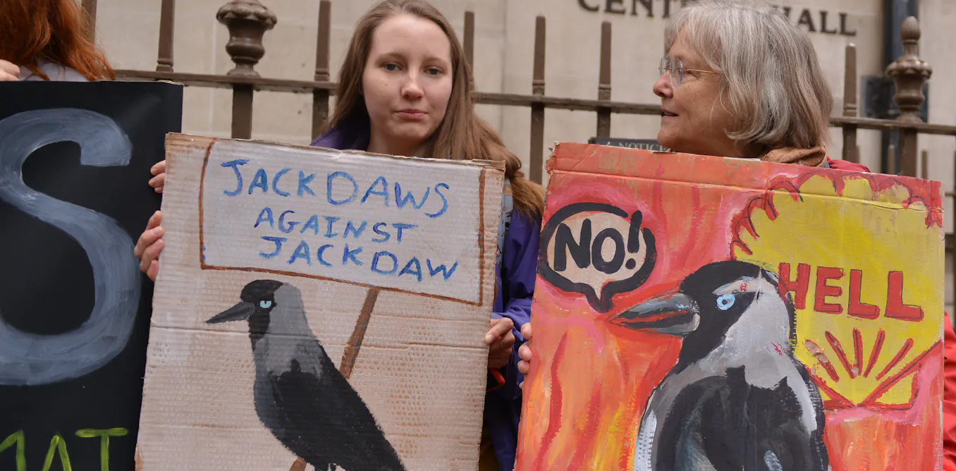 Jackdaw decision could haunt the UK at future climate summits Jackdaw decision could haunt the UK at future climate summits