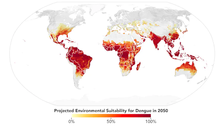 Global map shows broad dengue fever risk across South America, Africa and parts of South Asia, and spreading poleward in Australia and North America