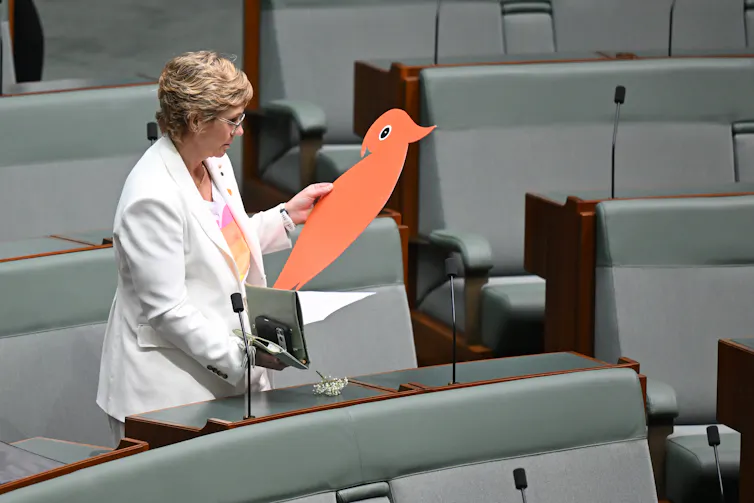 Independent member for Warringah Zali Steggall places a cutout cockatoo on the desk of Independent member for Indi Helen Haines in the House of Representatives at Parliament House.