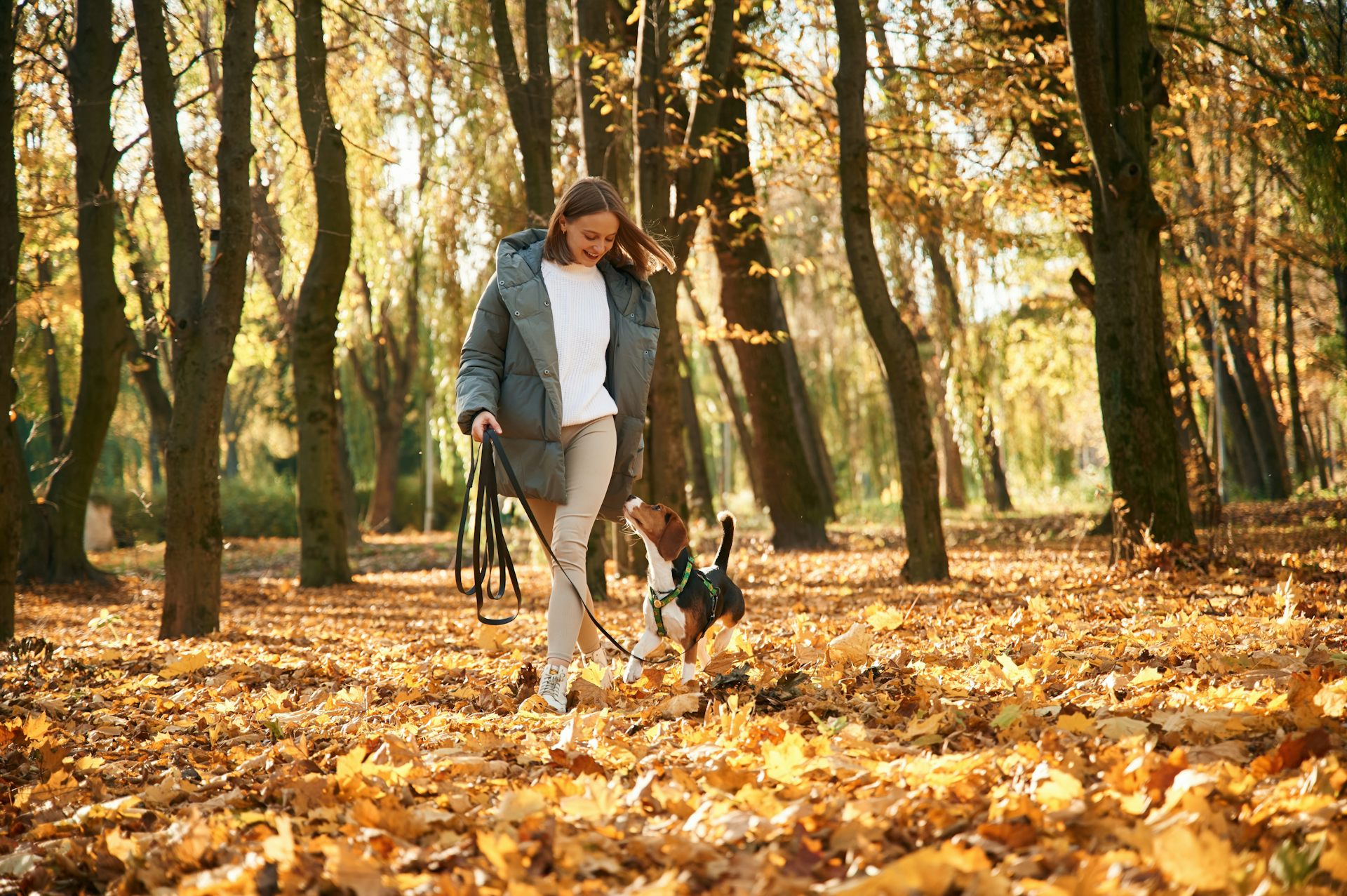 A woman in a grey coat walking a small dog through a sunlit woodland, surrounded by trees and a thick carpet of golden autumn leaves.