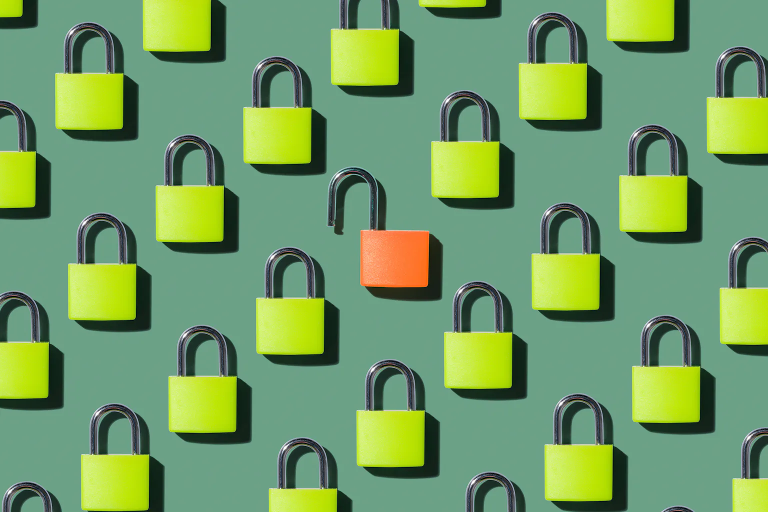 Uding Computer People are using AI to make expensive computer programs free. This ...
