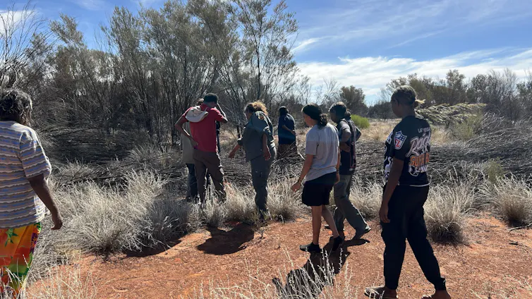 A group of people walk through the desert looking at plants.