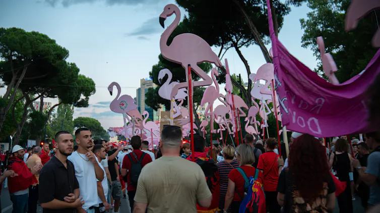 Manifestantes imágenes de flamencos rosas.