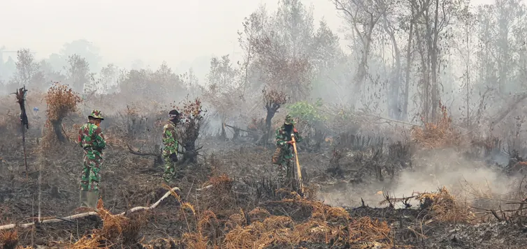 Firefighters in burned ground