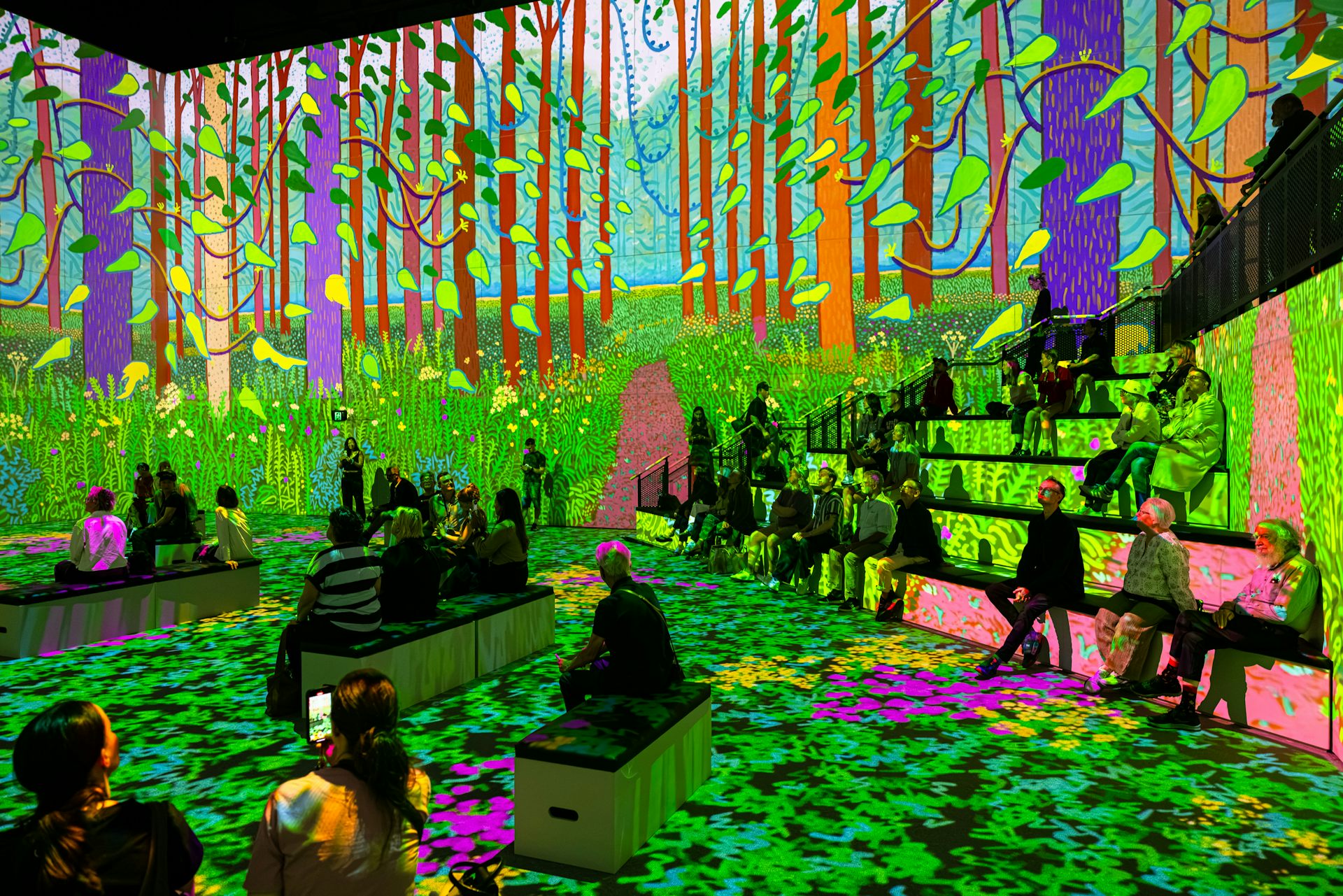 A large room with a bright digital artwork of a forest projected onto walls and floor, with people sitting on benches and stepped seating