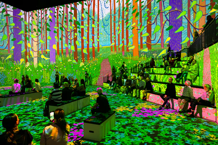 A large room with a bright digital artwork of a forest projected onto walls and floor, with people sitting on benches and stepped seating