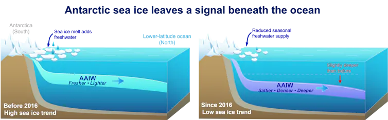 Diagram showing changes in Antarctic intermediate water.