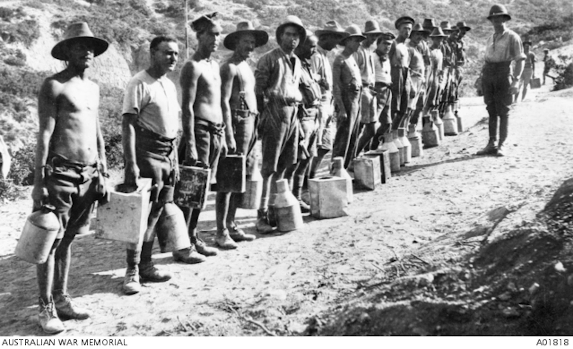 Flies, filth and bully beef: life at Gallipoli in 1915 beef diagram post 