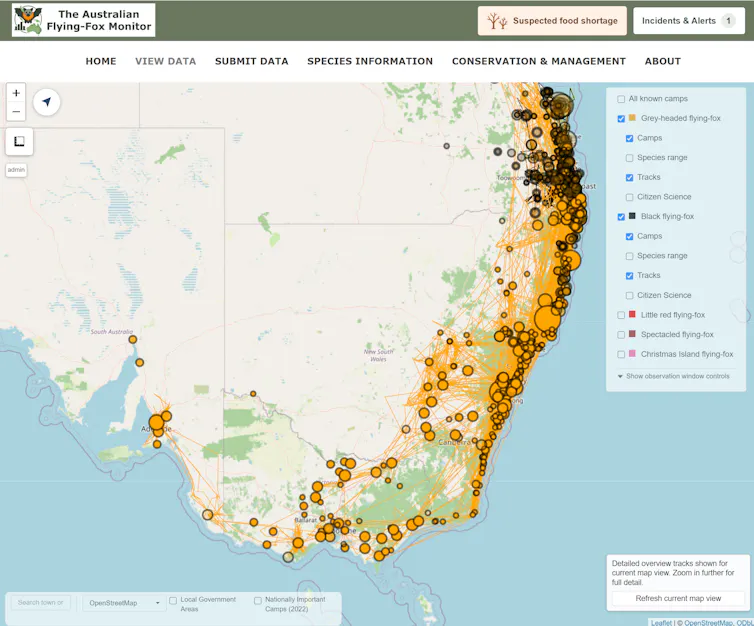 Map showing recent flying-fox numbers on Australia's east coast.