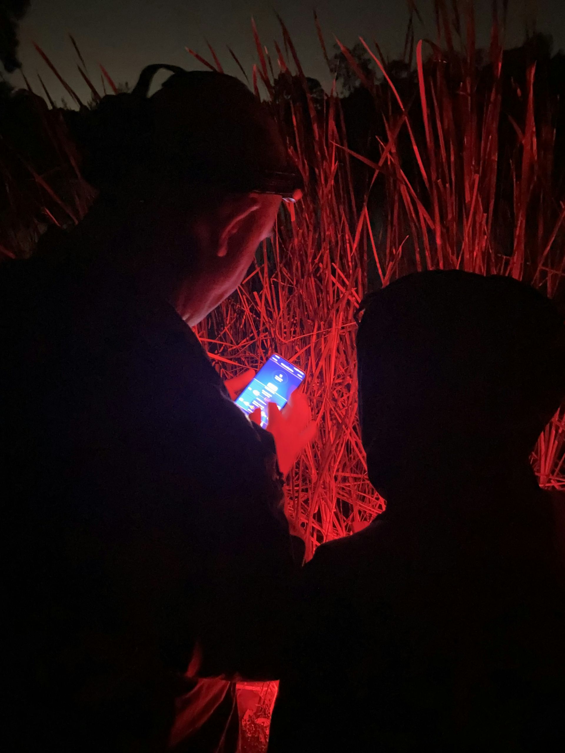 Two people look at a phone screen while conducting research at night.
