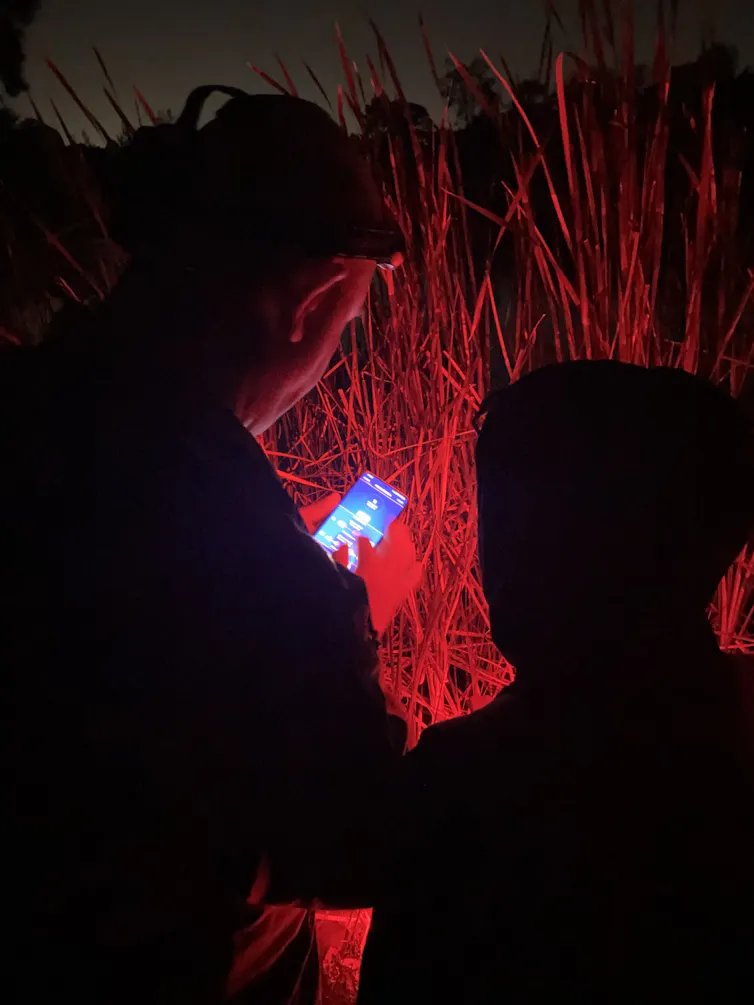 Two people look at a phone screen while conducting research at night.