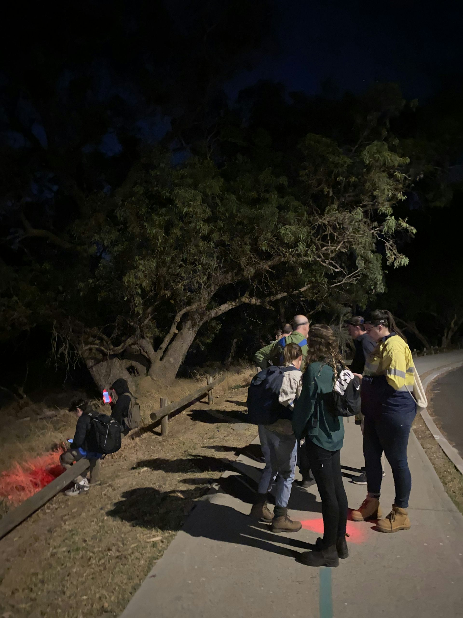 A group of volunteers conducts research outside at night.
