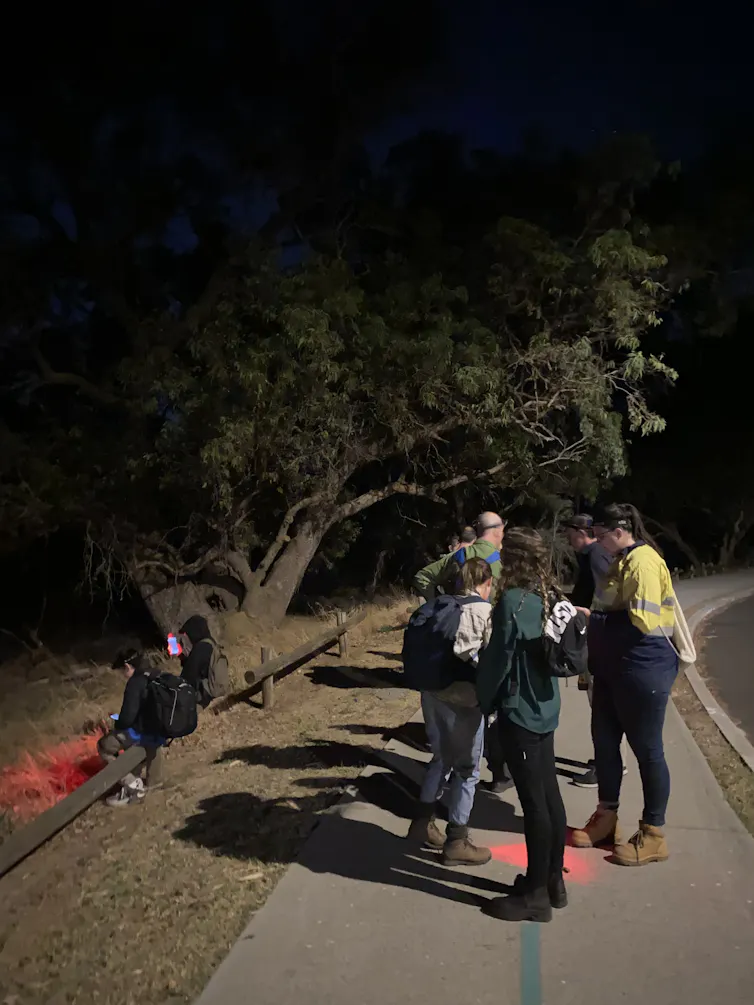 A group of volunteers conducts research outside at night.