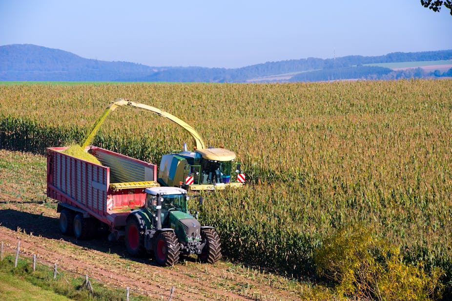 Farm Harvester Industrial corn farming is ruining our health and 