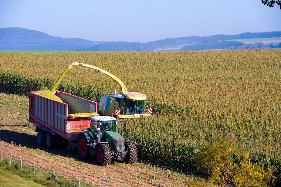 Farm Harvester Industrial corn farming is ruining our health and Farm Harvester Industrial corn farming is ruining our health and