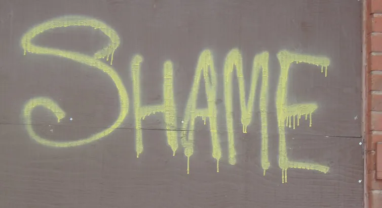 Shamer The power of public shaming, for good and for ill