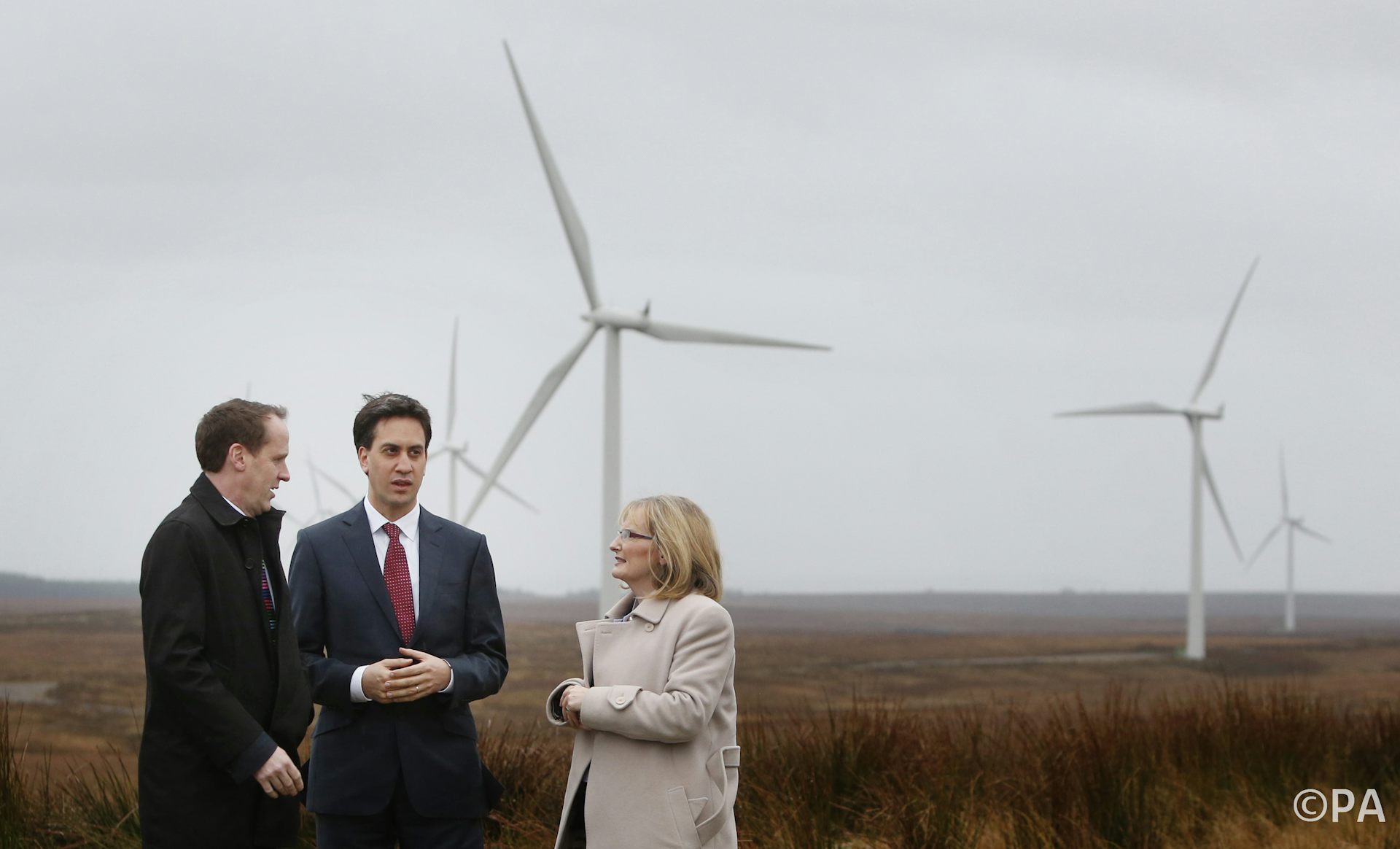 Manifesto Check: Labour ready to go green, but remains grey on detail