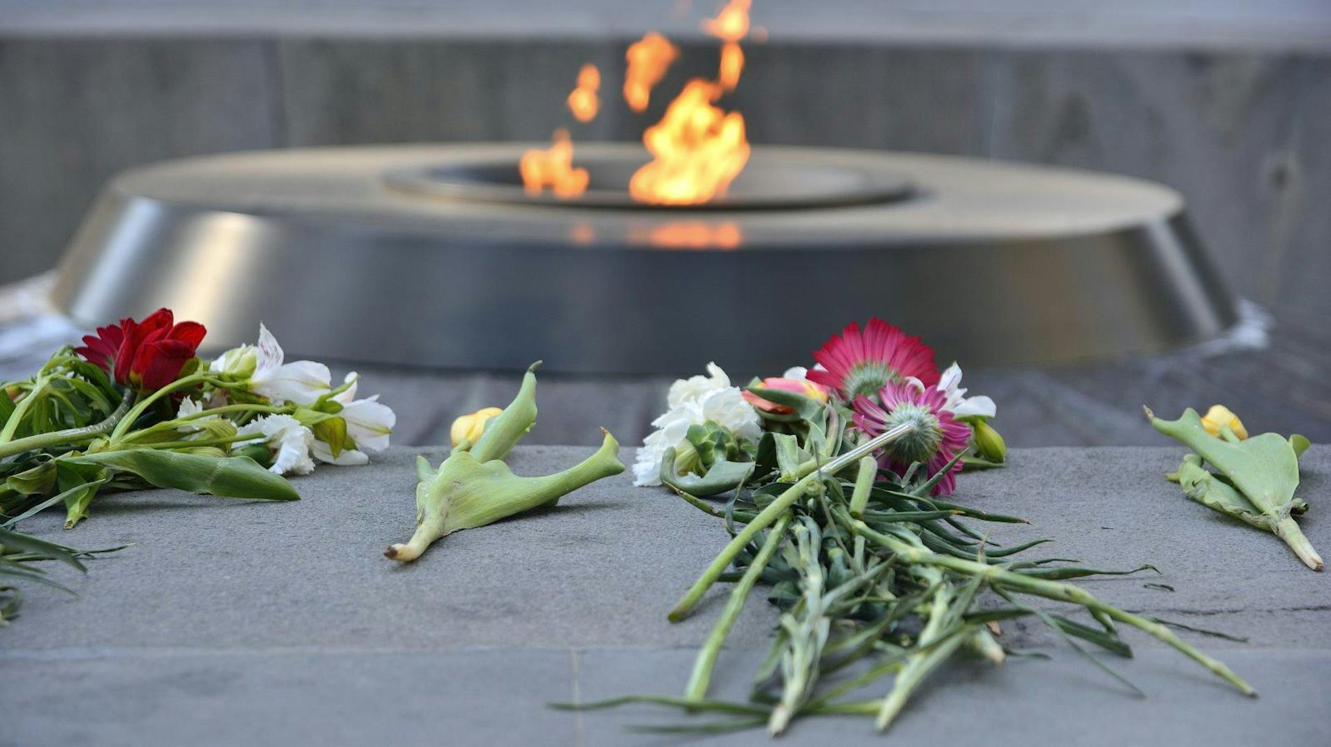 Armenian Genocide Flower Symbol Best Flower Site