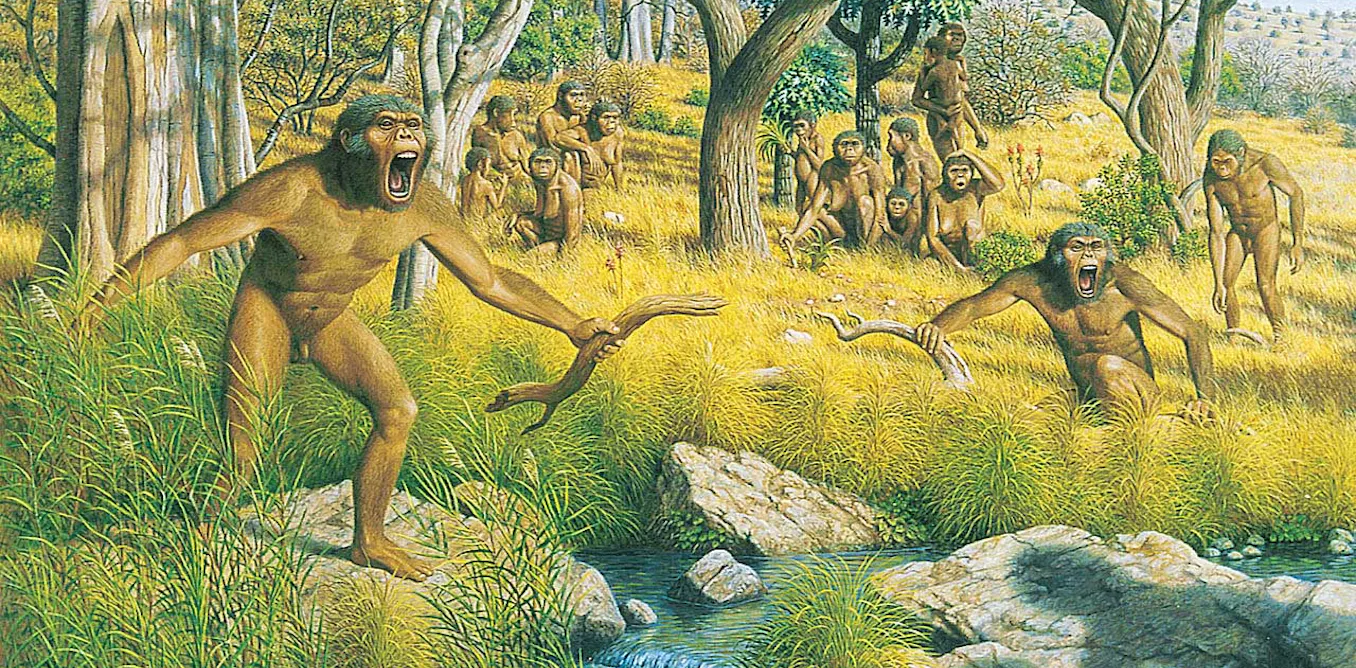 First Human Genus From sticks to stones: getting a grip on the human genus