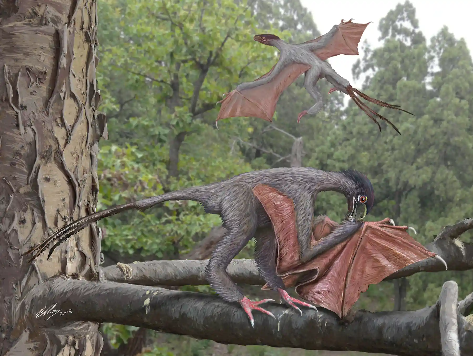 A Bizarre New Flying Dinosaur With Bat like Wings And Feathers a-bizarre-new-flying-dinosaur-with-bat-like-wings-and-feathers