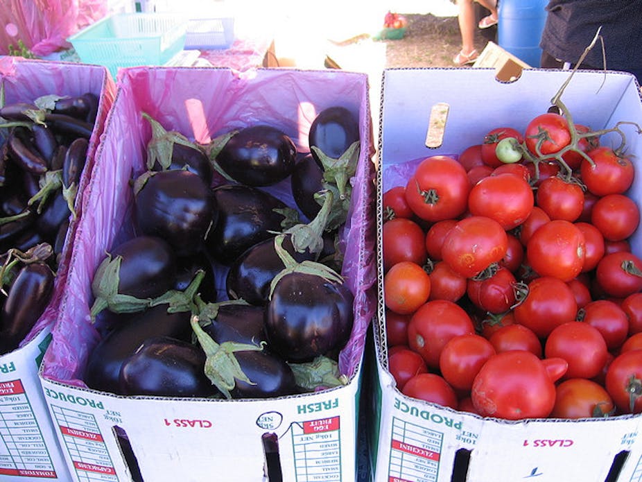 39+ Sustainable Food Companies Australia Gif