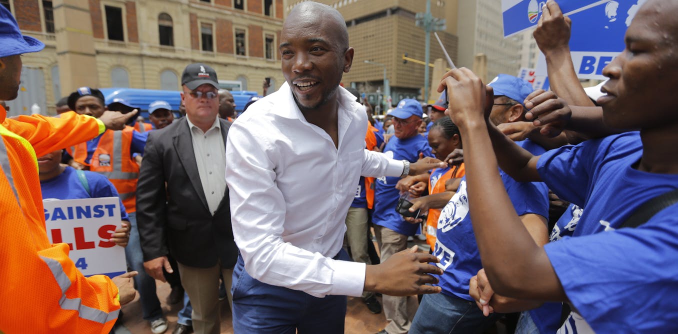 First black leader breathes life into South African opposition