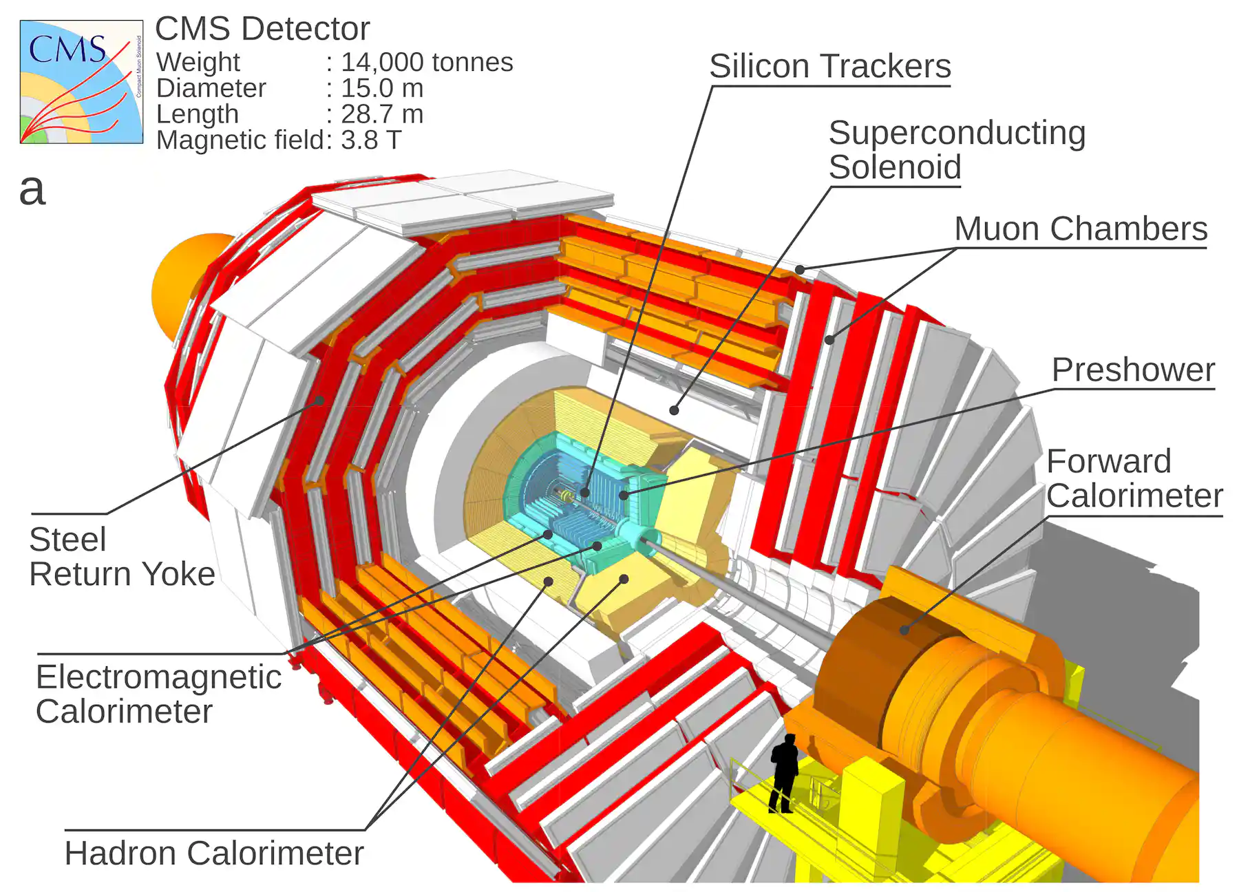Partical Physics Lab Particle physics discovery raises hope for a theory of everything