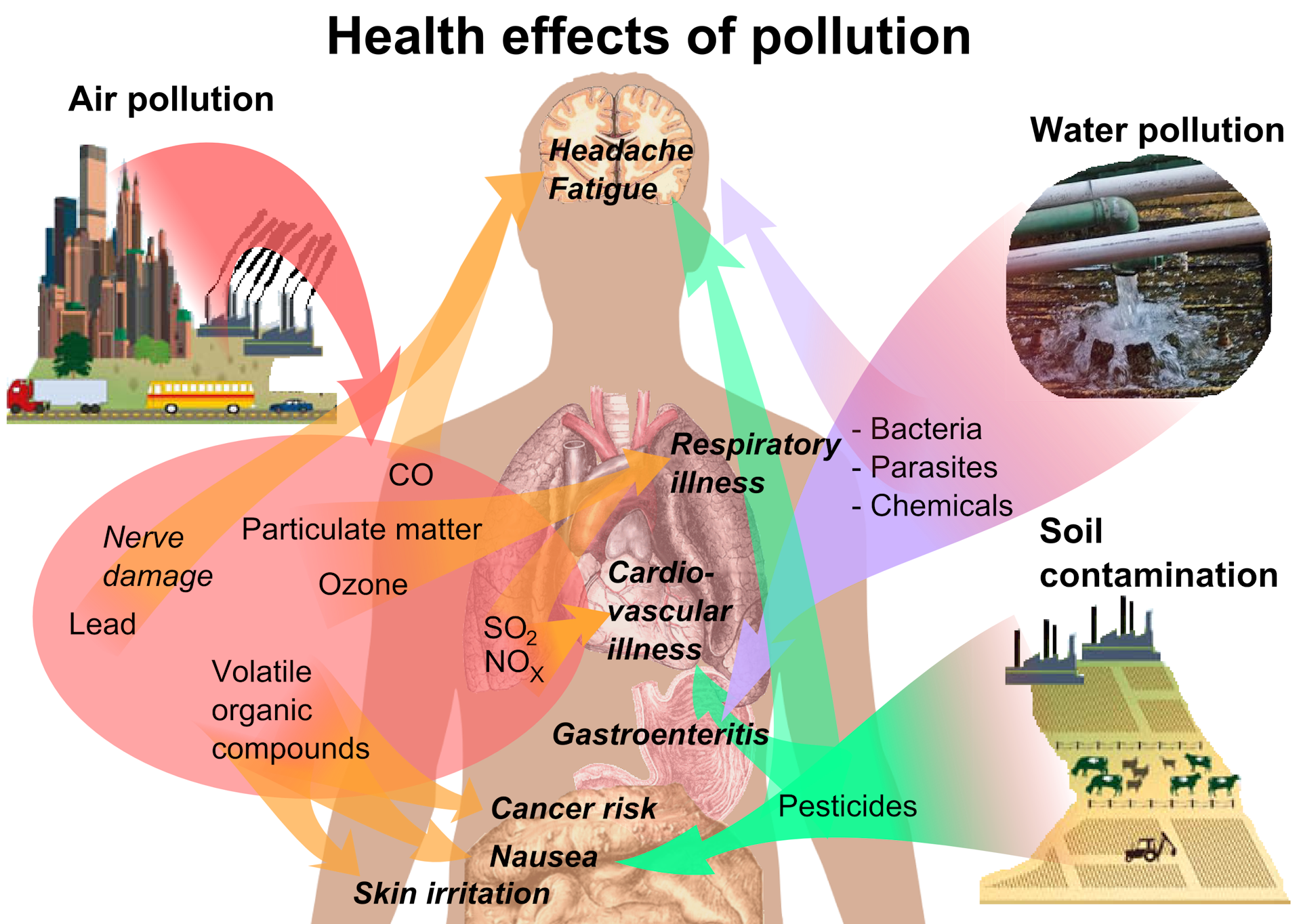 What Does Exposure To Environmental Chemicals Mean For Our Health?