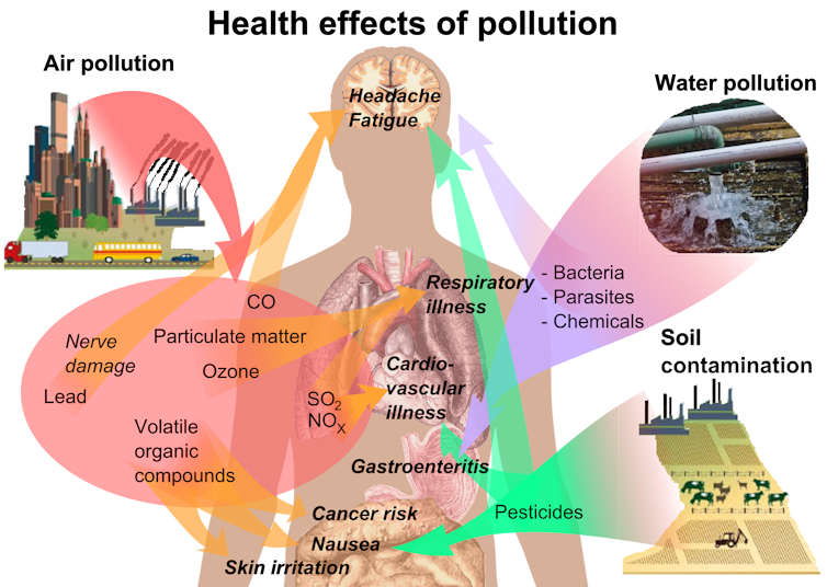 What does exposure to environmental chemicals mean for our health?
