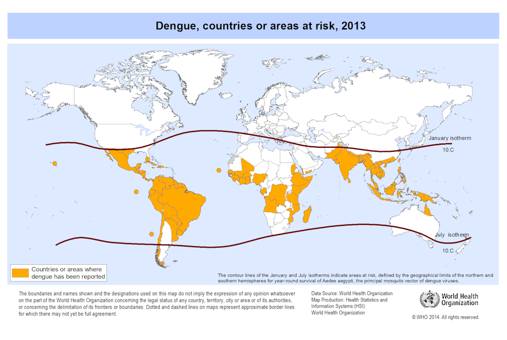 Dengue Fever World Map Modifying mosquitoes to stop transmission of dengue fever Dengue Fever World Map Modifying mosquitoes to stop transmission of dengue fever