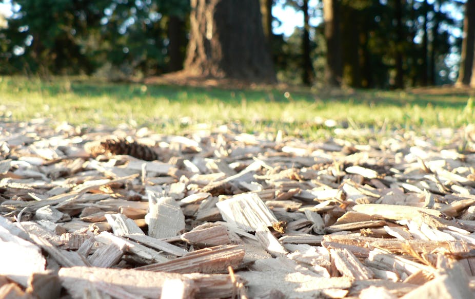 In other words, layering wood chips mimics the forest floor. And if you’ve ever walked through a lush forest, you know the kind of abundance that system creates.
