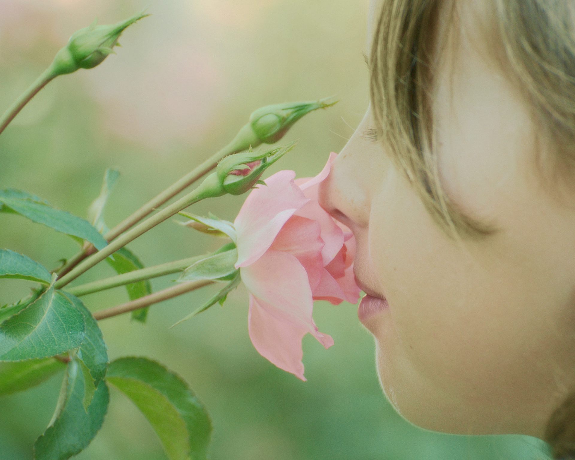 Обоняние детей. Нюхает цветы. Нос и цветок. Человек нюхает цветок. Вдыхать аромат цветов.