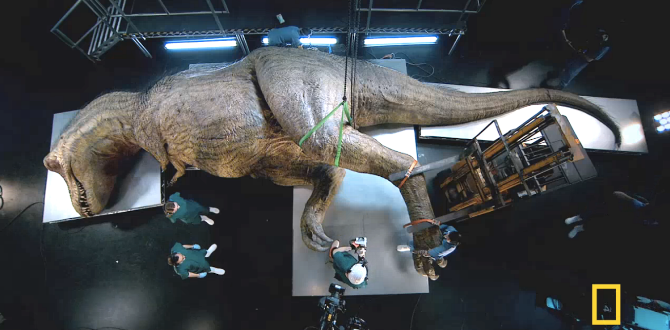 How I Dissected A T.Rex (It Took Chainsaws, Feathers And Lots Of Latex)