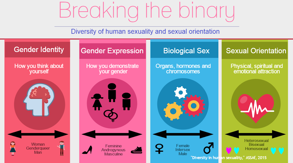 An explanation of the diversity of human sexuality and sexual orientation. 
