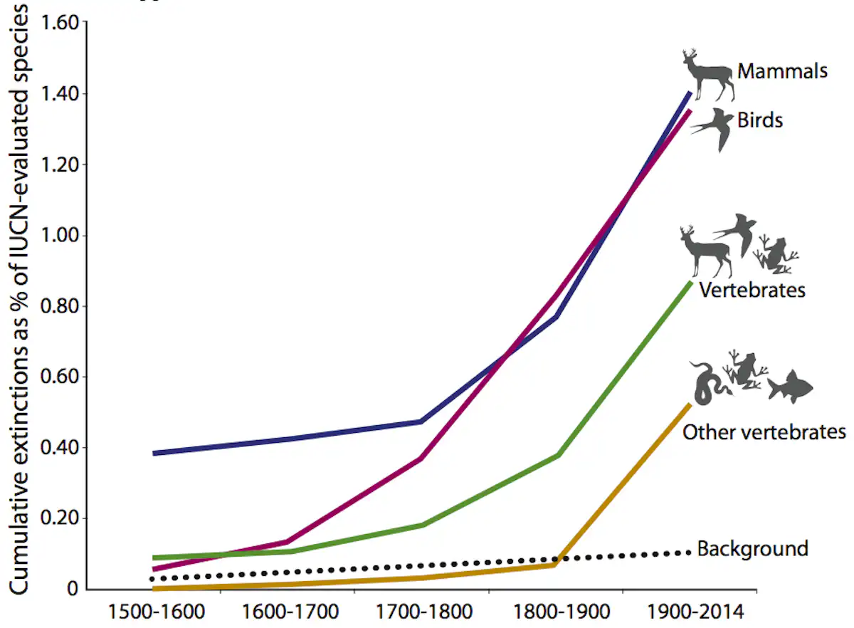 Earth's sixth mass extinction has begun, new study confirms