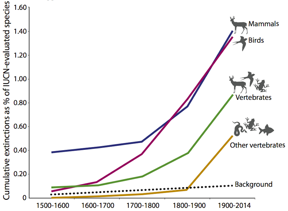 Earth’s sixth mass extinction has begun, new study confirms