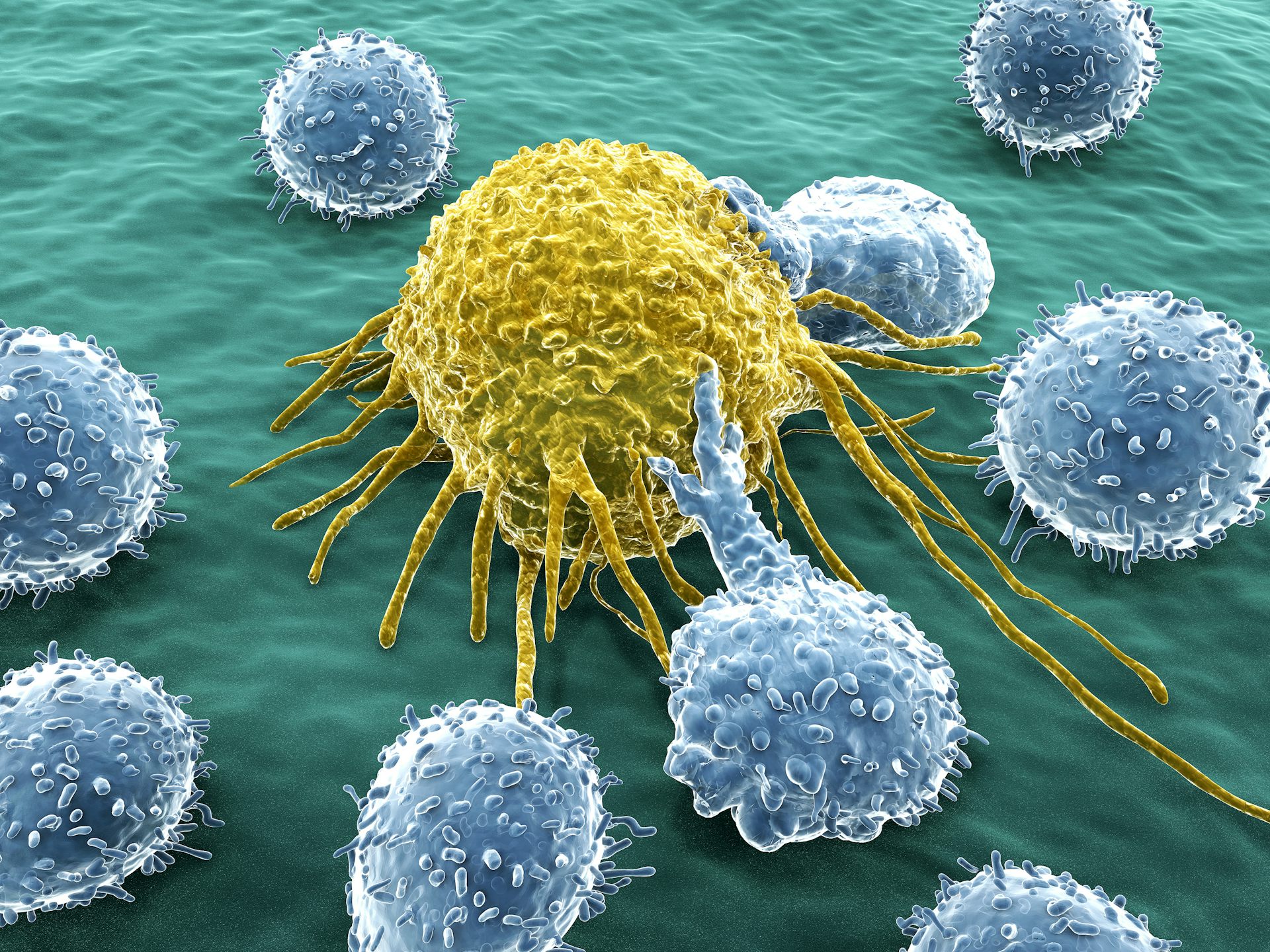 How weaponising the body’s immune system can deliver a cure for cancer