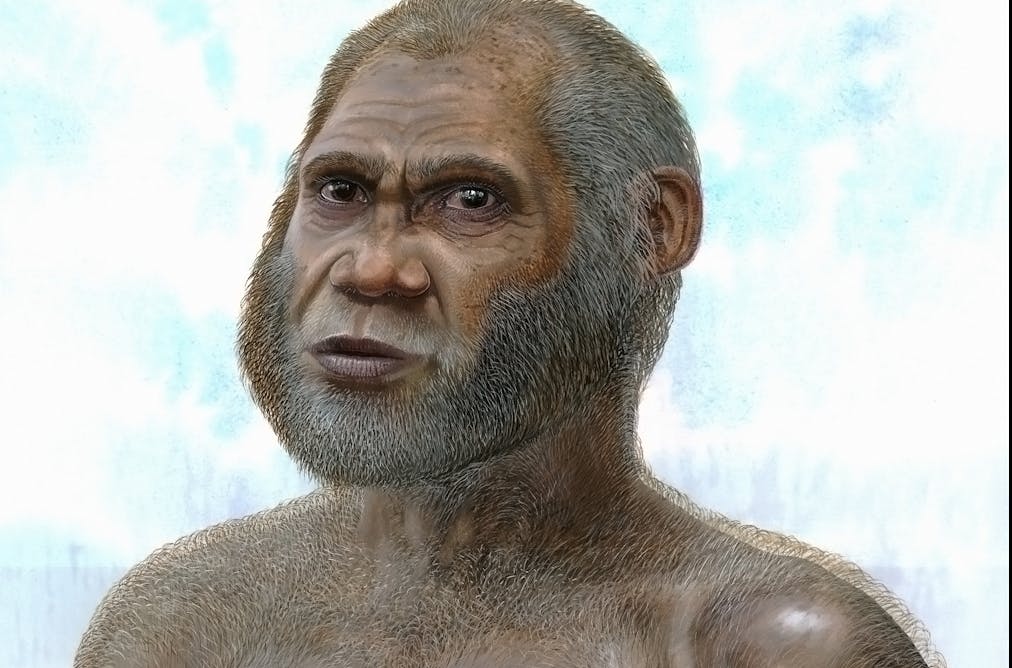 sqm622qn-1331700275.jpg?ixlib=rb-1.1.0&rect=6%2C33%2C1814%2C1357&q=45&auto=format&w=1012&h=668&fit=crop