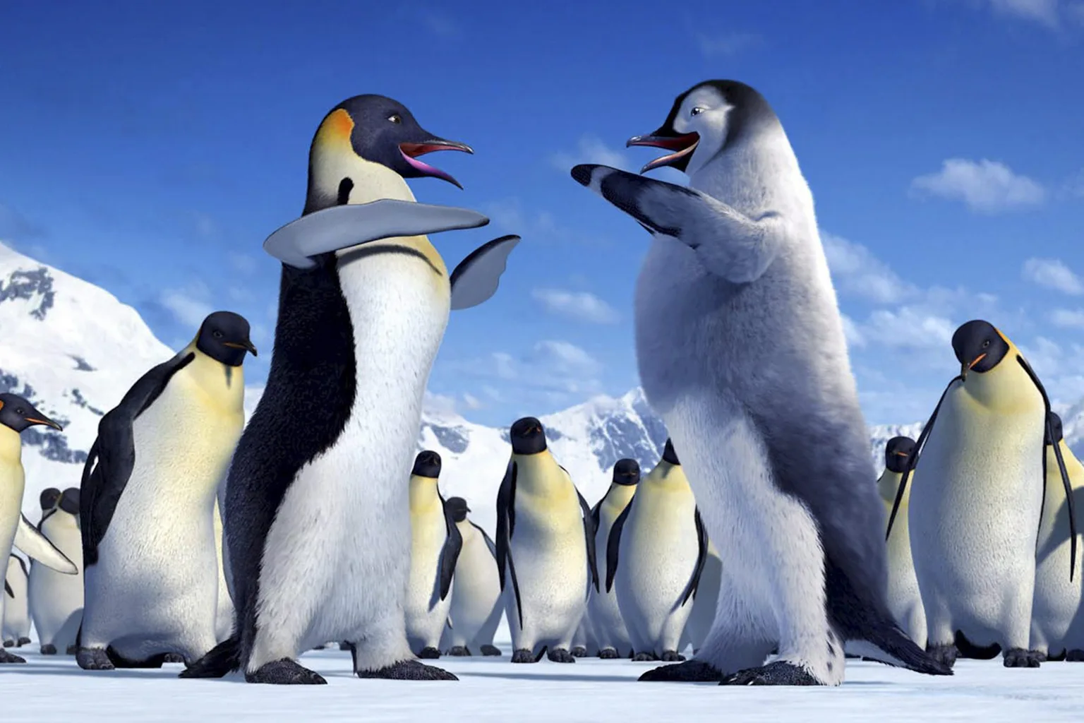Academically Winner From ads to Oscar winners: a century of Australian animation