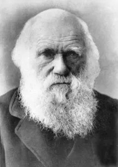 Darwin Using A Computer How computers are learning to make human software work more efficiently