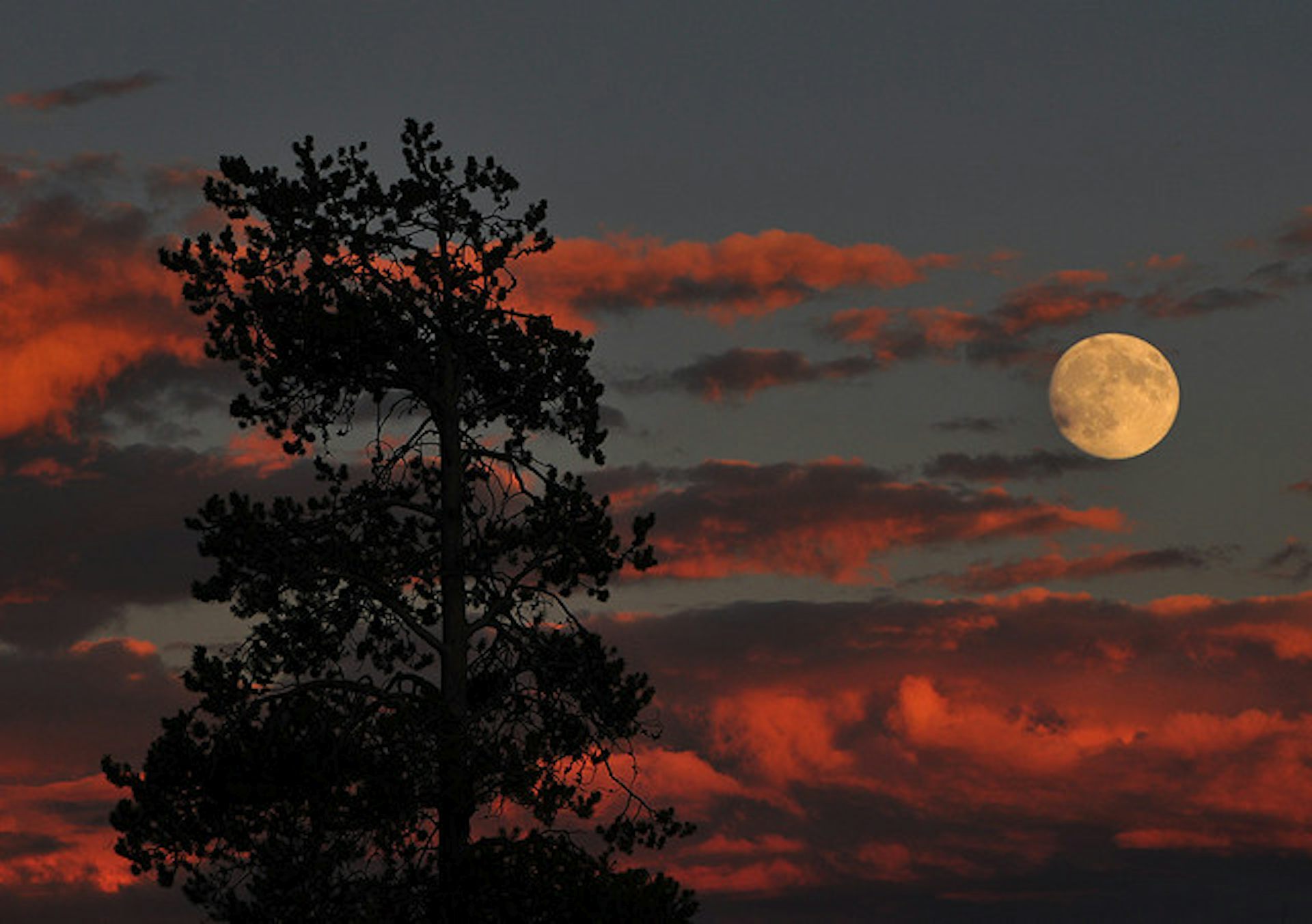 Monday S Medical Myth Hospitals Get Busier On Full Moons