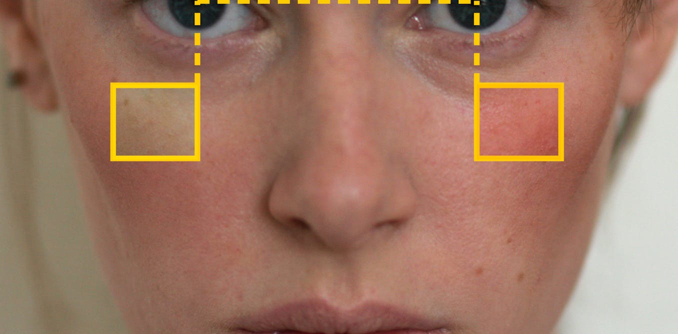 The Secret To Ovulation Is In Women S Faces But Men Can T See It