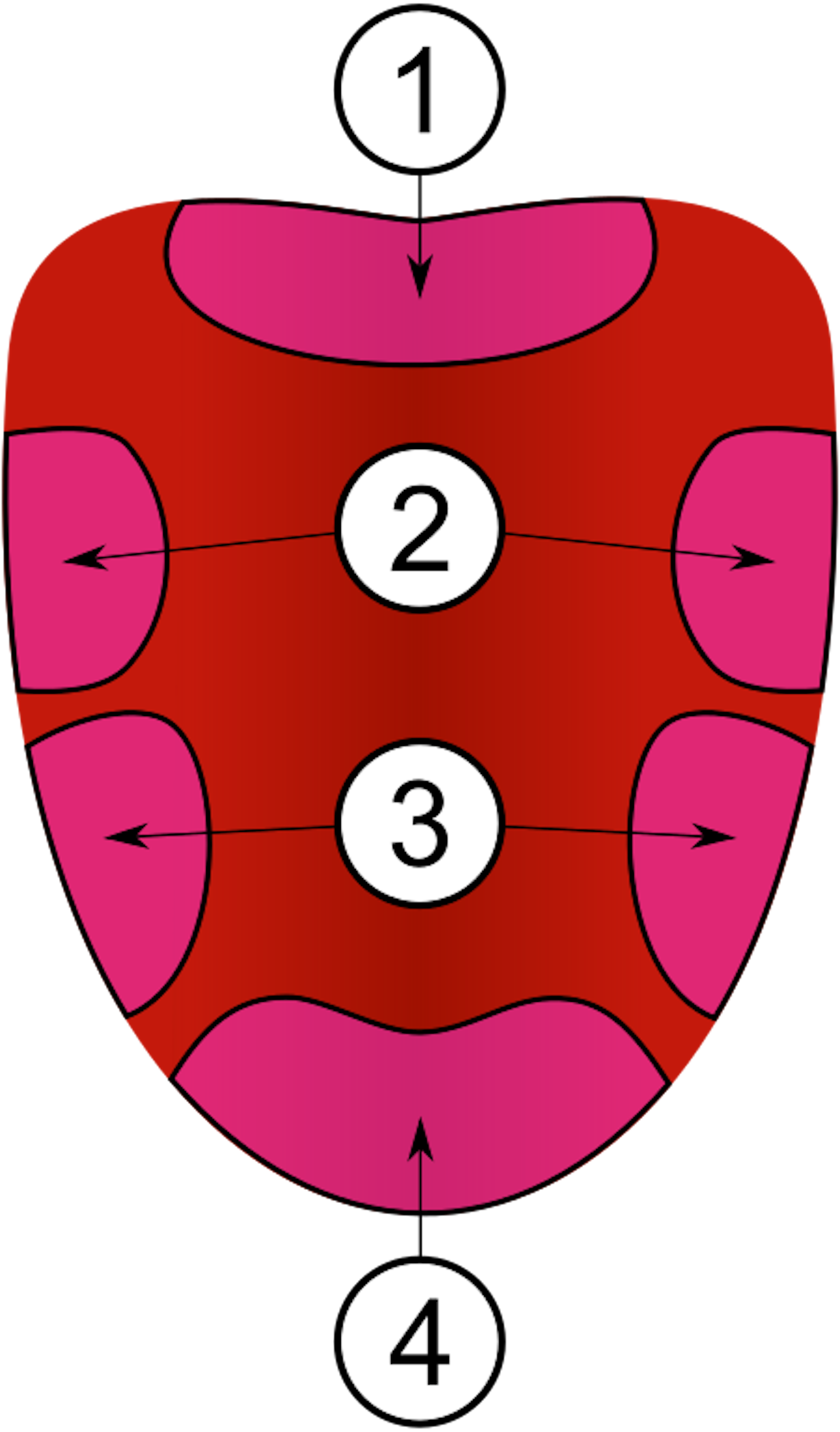 On Your Table Blog NDFB Tongue Map Truth on-your-table-blog-ndfb-tongue-map-truth
