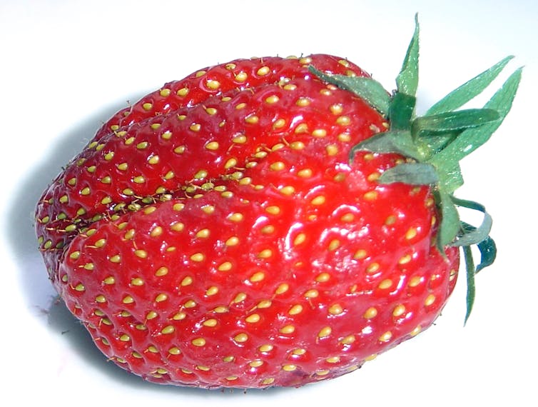 The Science Of Strawberries Why Do They Taste So Good
