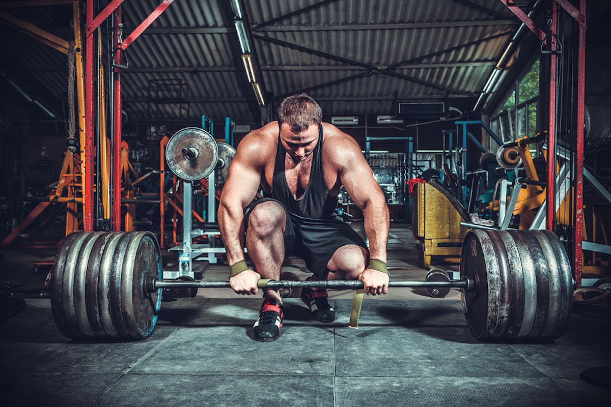 Taking Gym Steroids Can Affect Your Learning And Memory