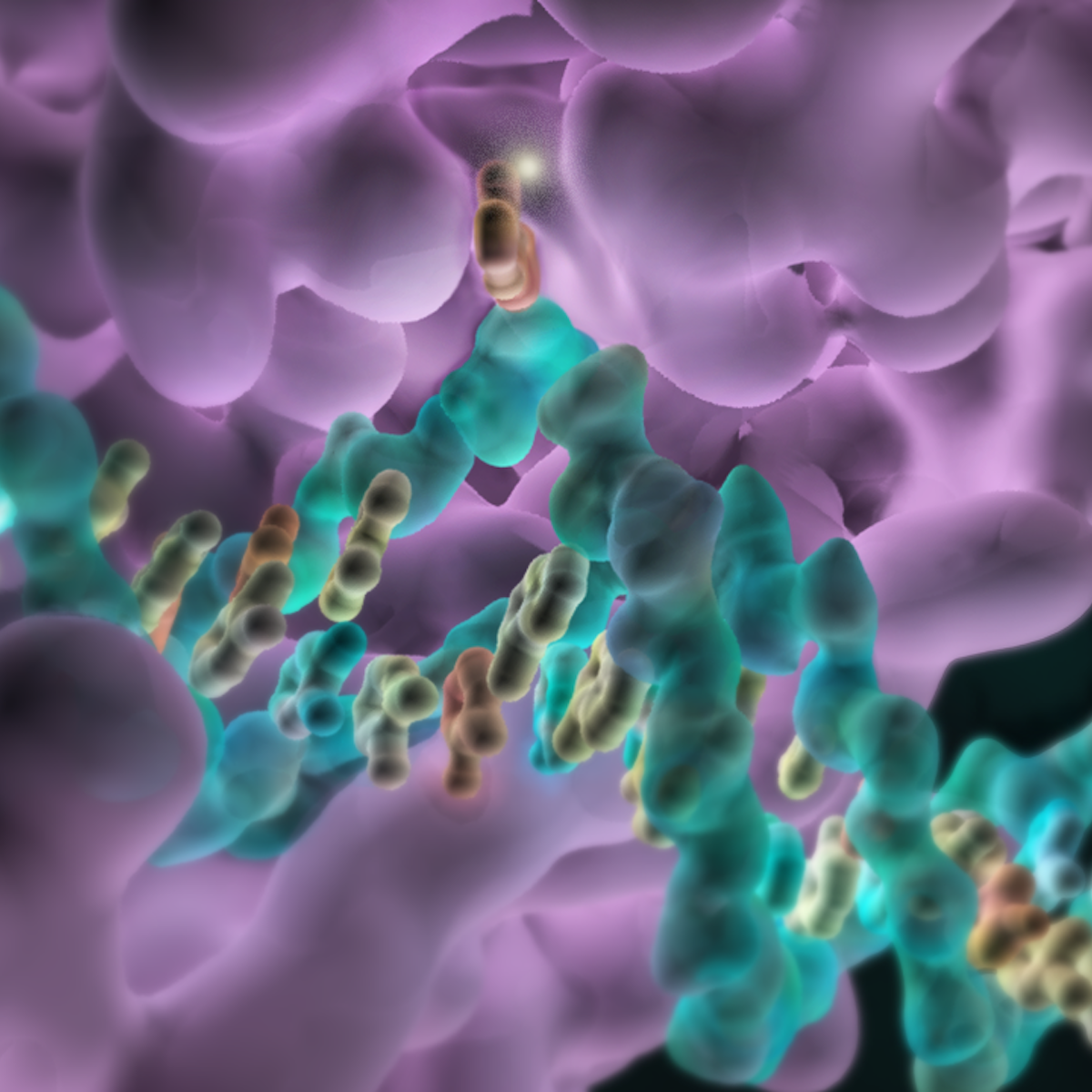 Art And Science Combine To Reveal The Inner Workings Of Our Dna