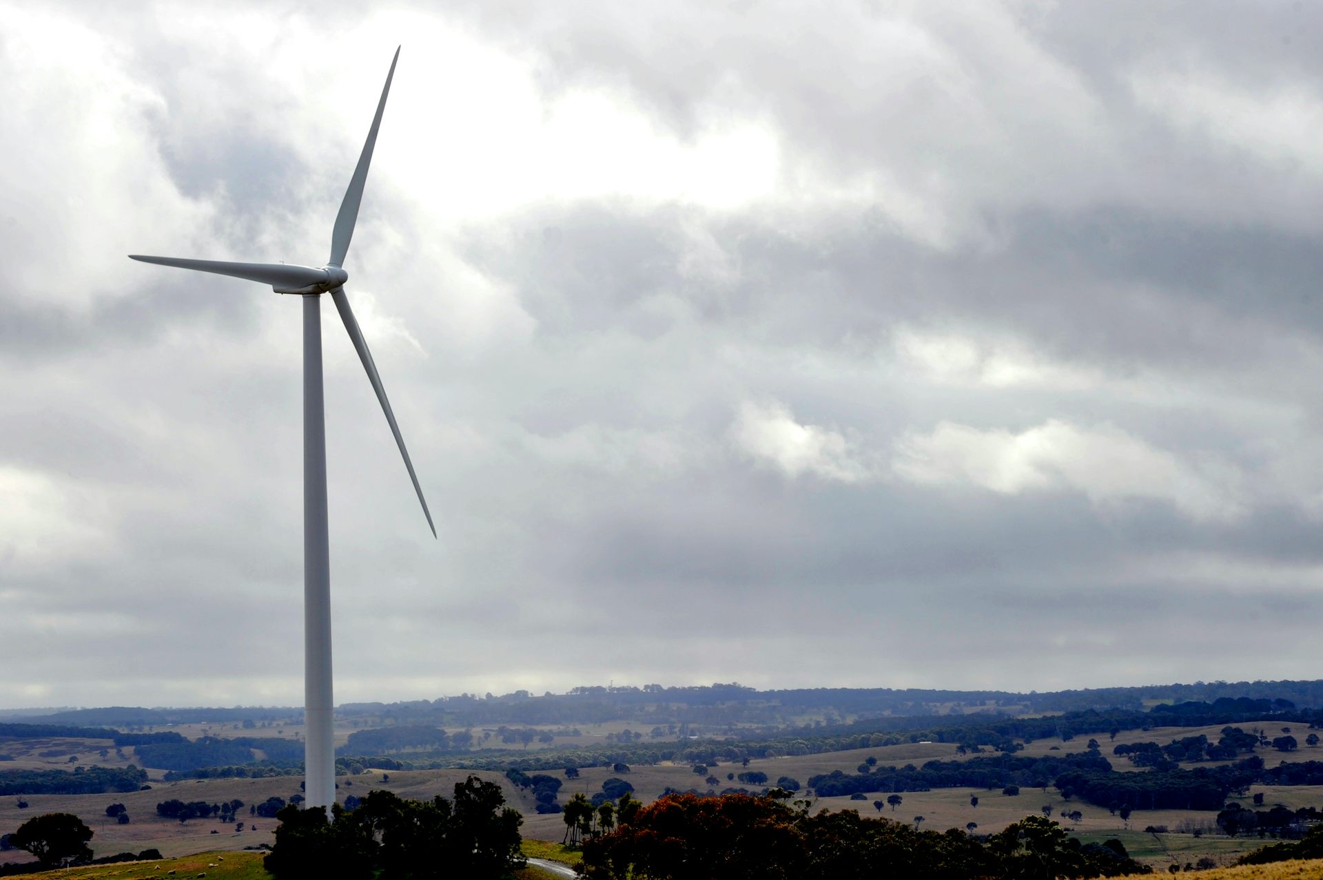 How Baffling is the Abbott Government's Assault on Windfarms?