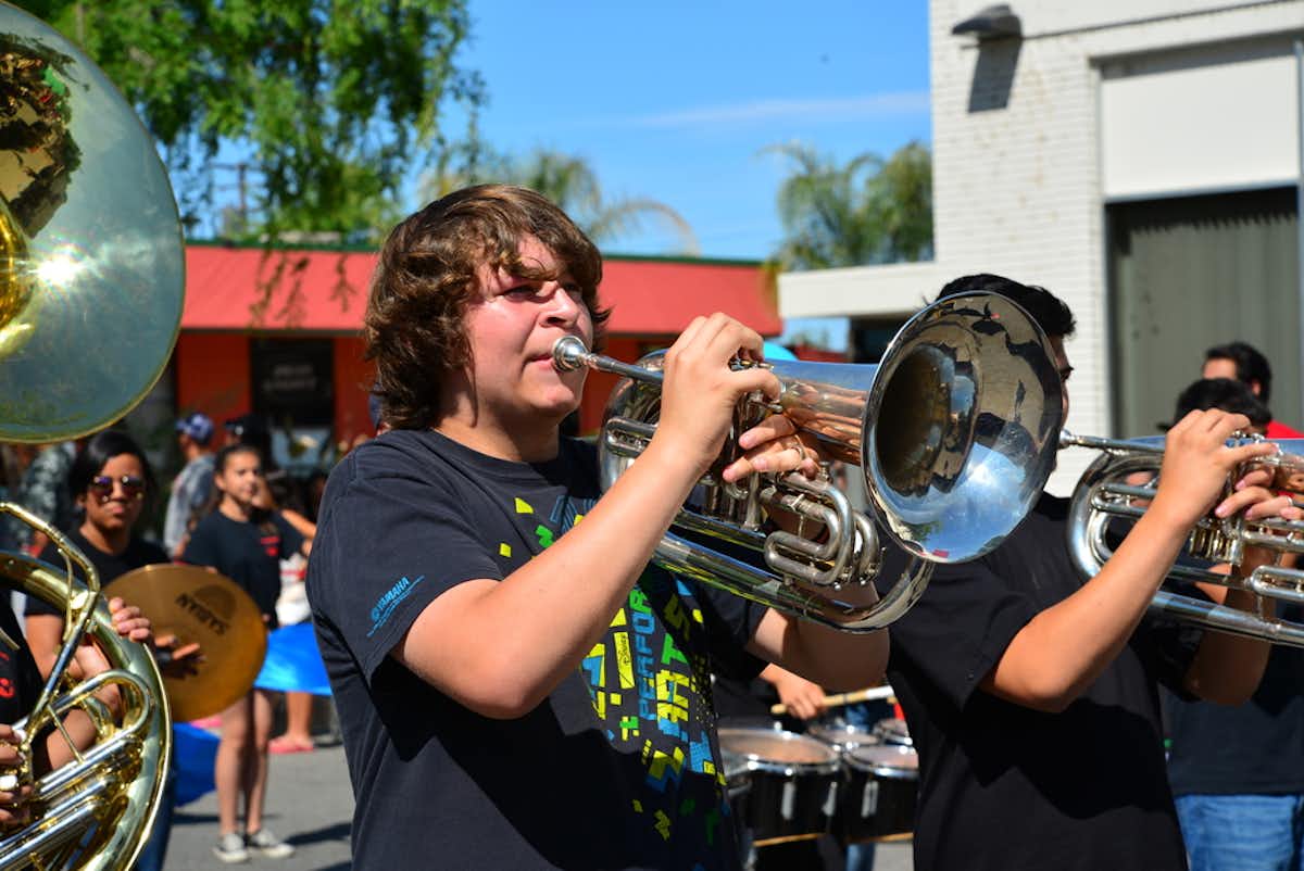 Musical training can accelerate brain development and help with ...